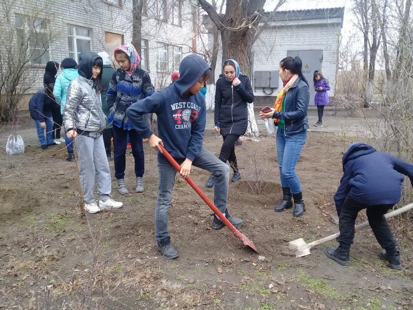 «Бүкілқазақстандық ағаш отырғызу күні»  туралы ақпарат