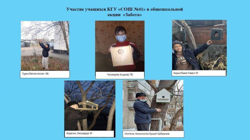 Школьники развесили кормушки для птиц